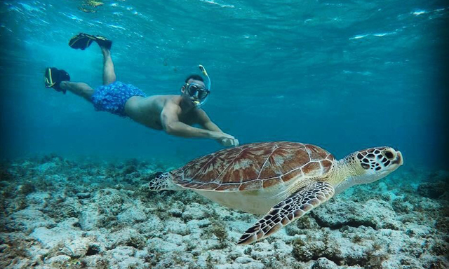 Cayman Yacht Charters, Luxury Boat Rentas Grand Cayman Islands, sting ray city,